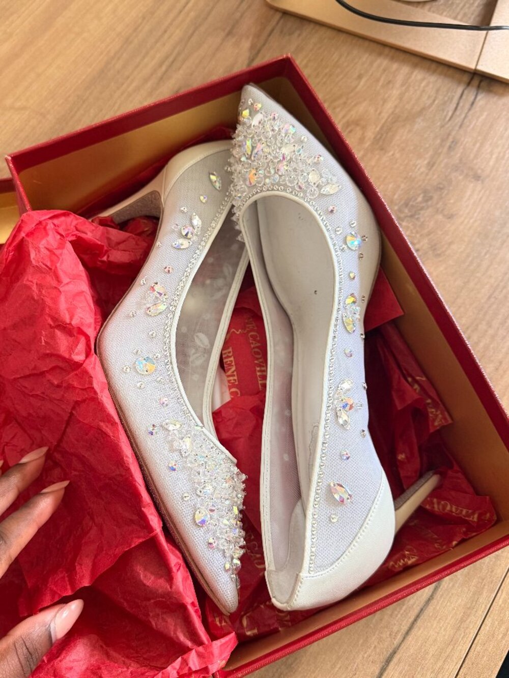 René Caovilla Cinderella Crystal Pumps (US 9)